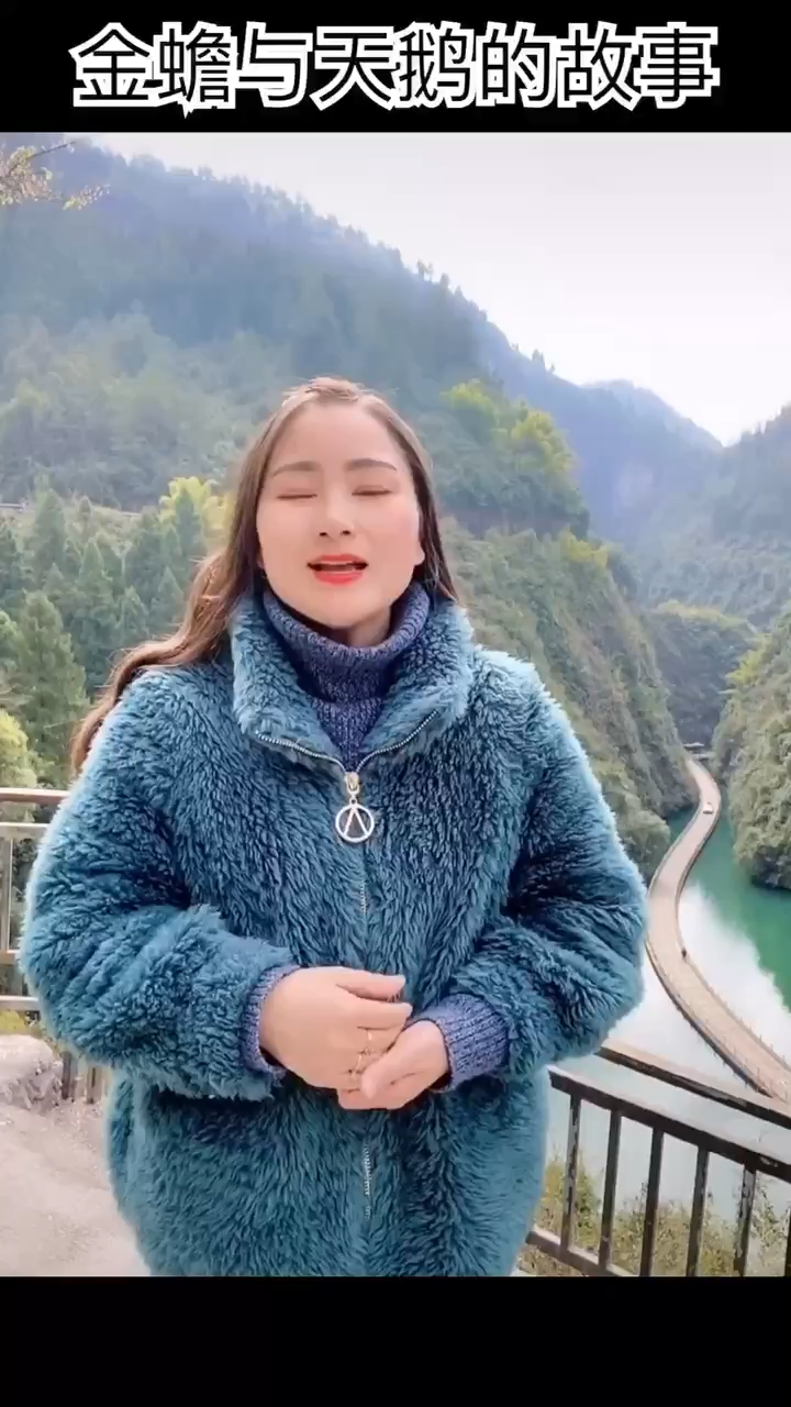 金蟾与天鹅的故事