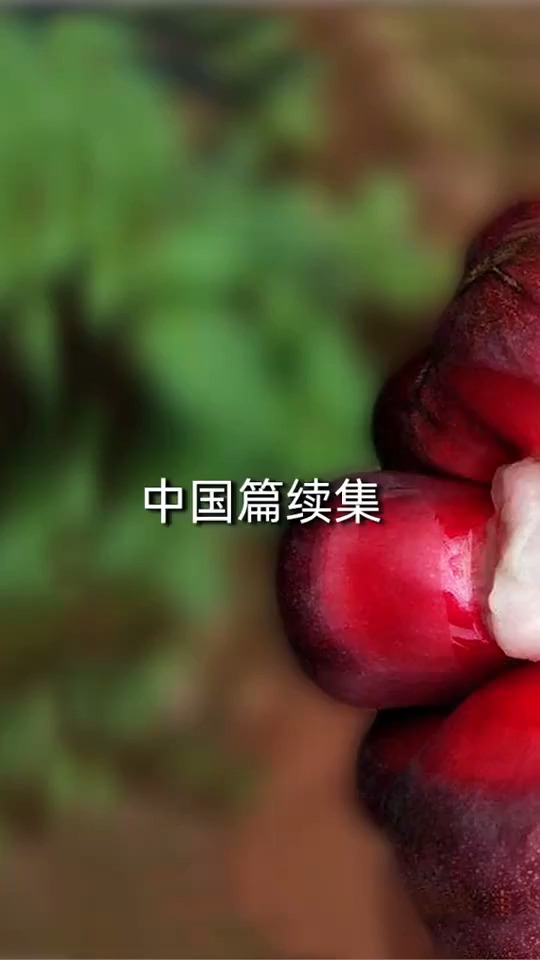 中国有哪些地球罕见水果?会流出牛奶的都不算啥