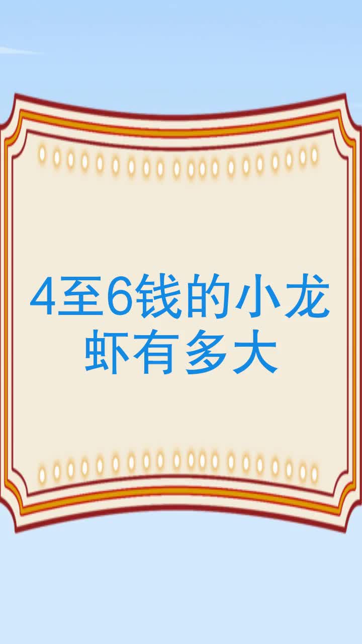 4至6钱的小龙虾有多大