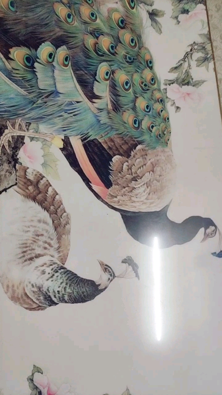 孔雀工笔画