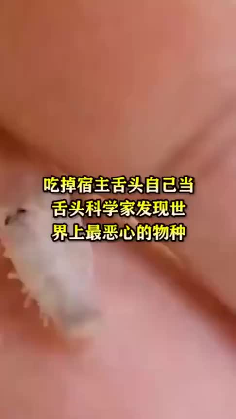 世界上最“恶心”的物种,吃掉宿主舌头,自己当舌头!