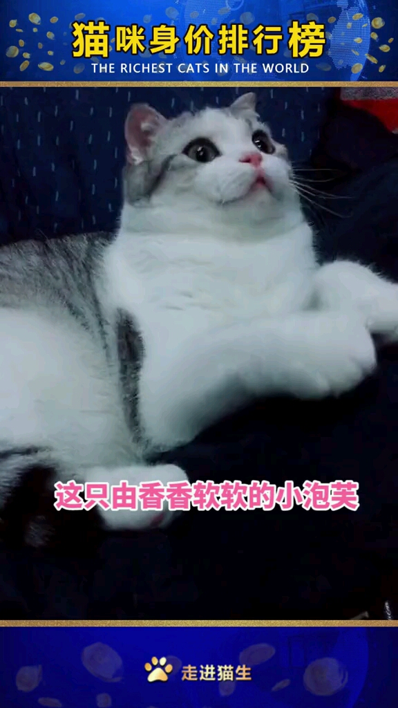 呐,你们的表情包,常用聊天工具搜索“香香软软的泡芙”#喵 @香香软软的泡芙