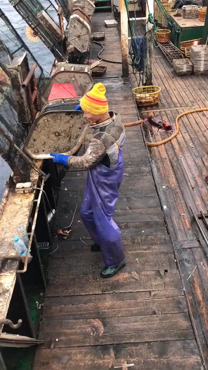 #明星娱乐#深海大鱿鱼是怎样打捞上岸的,看到渔夫的装备,我算是长见识了!