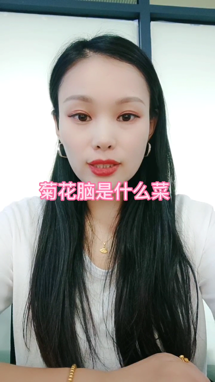 菊花脑是什么菜 