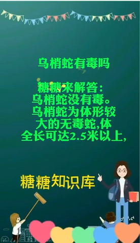 乌梢蛇有毒吗  