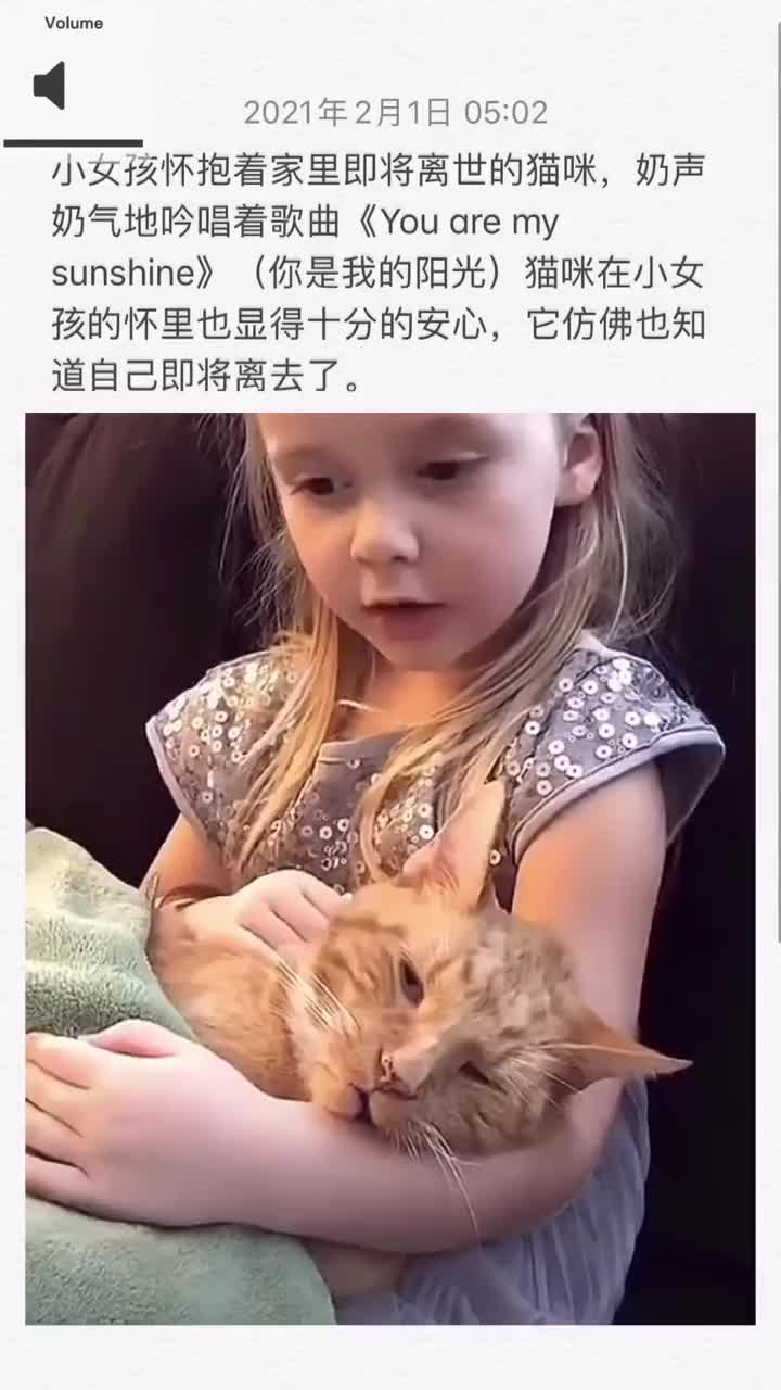 小女孩抱着陪伴十四年的猫咪唱YouAreMySunshine老猫含泪离世