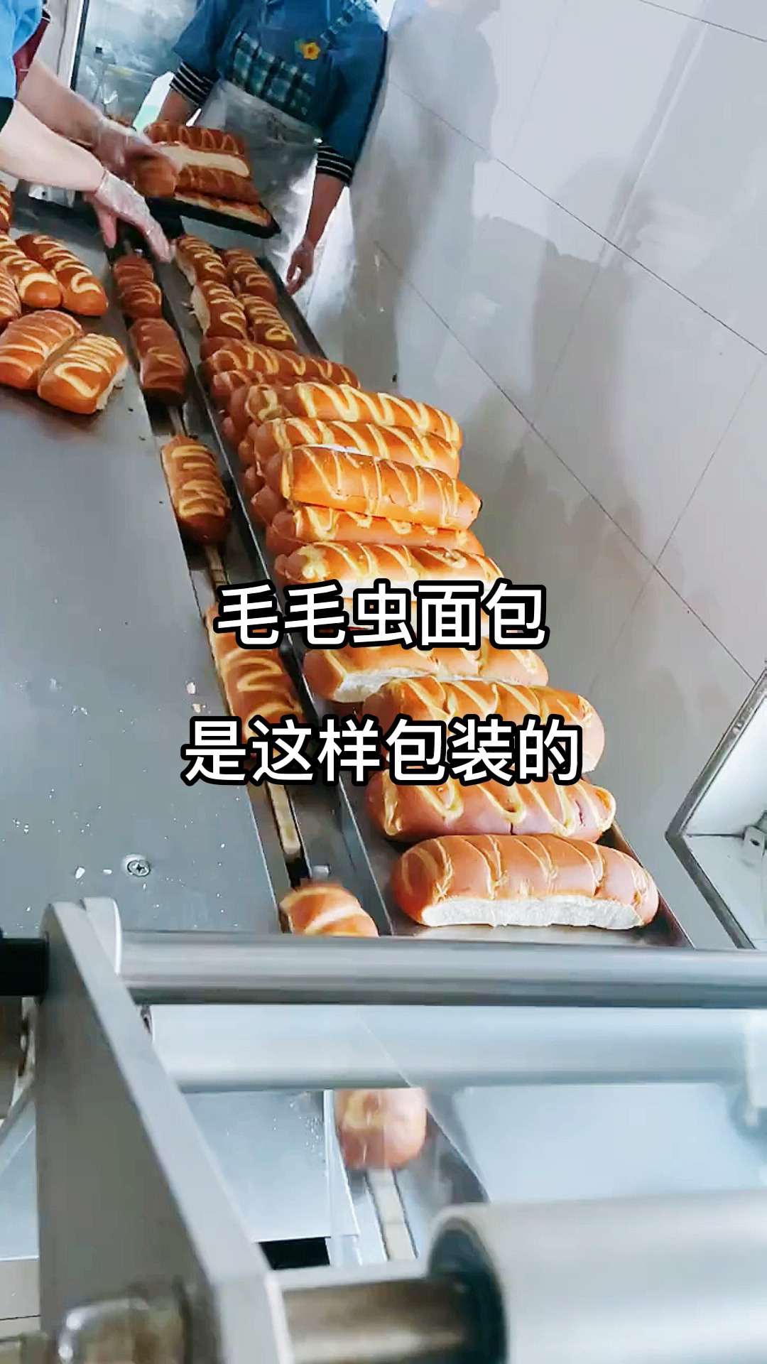 毛毛虫面包自动包装机 自动充打包充气封口