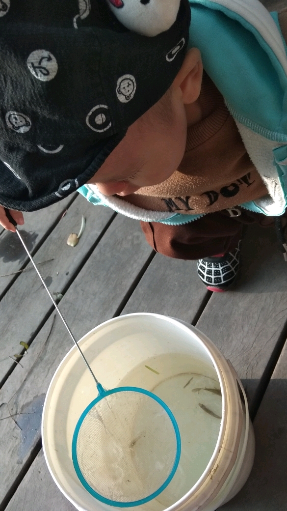 #你喜欢的样子我都有#我的鱼