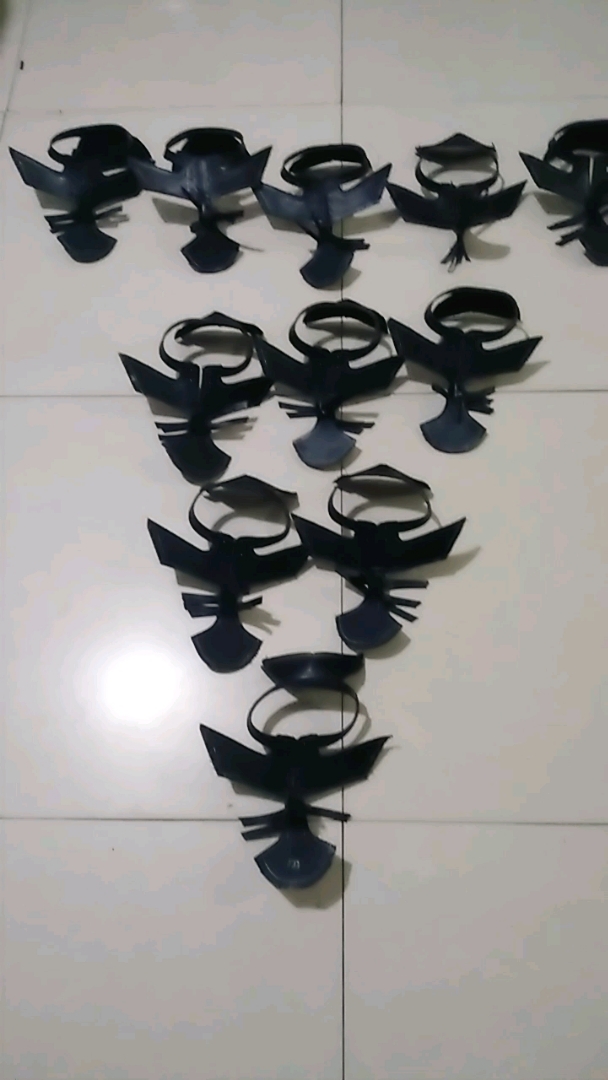 这是什么,有知道的吗,一共多少只