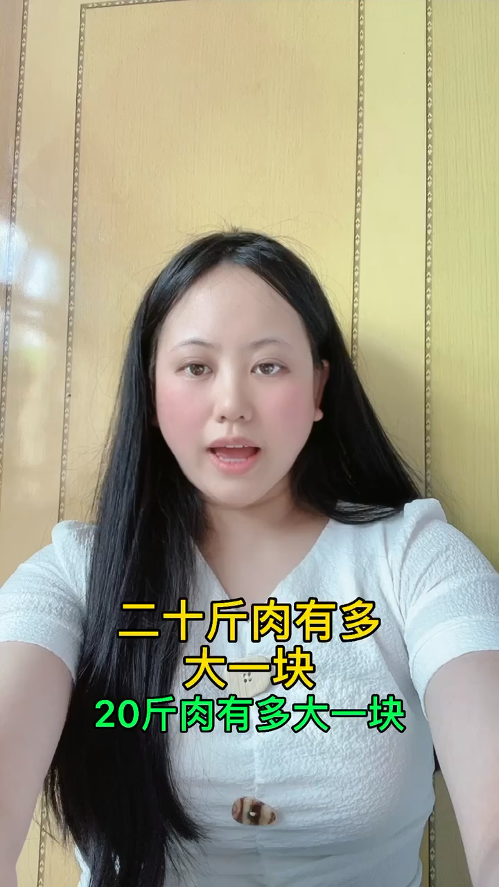 二十斤肉有多大一块