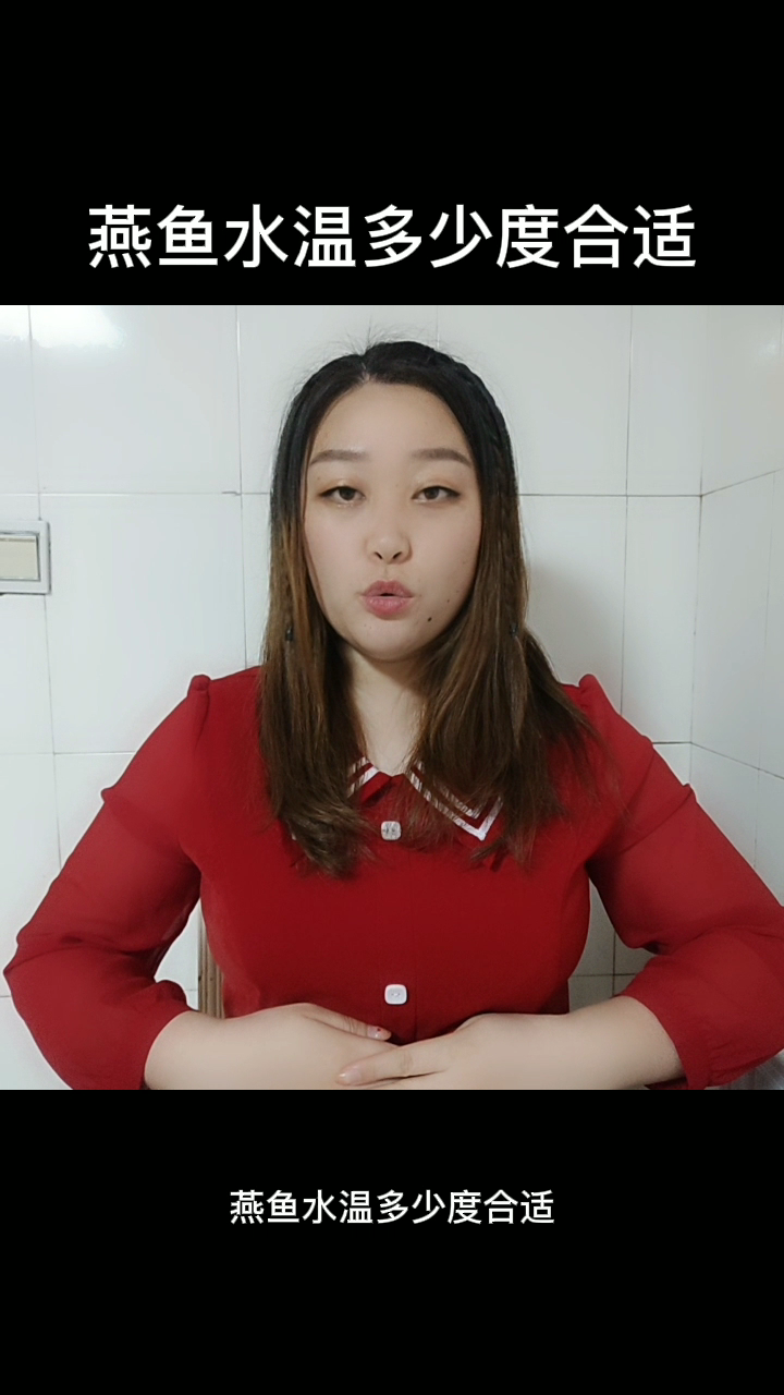 燕鱼水温多少度合适