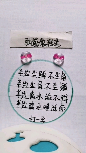 动动脑开开心