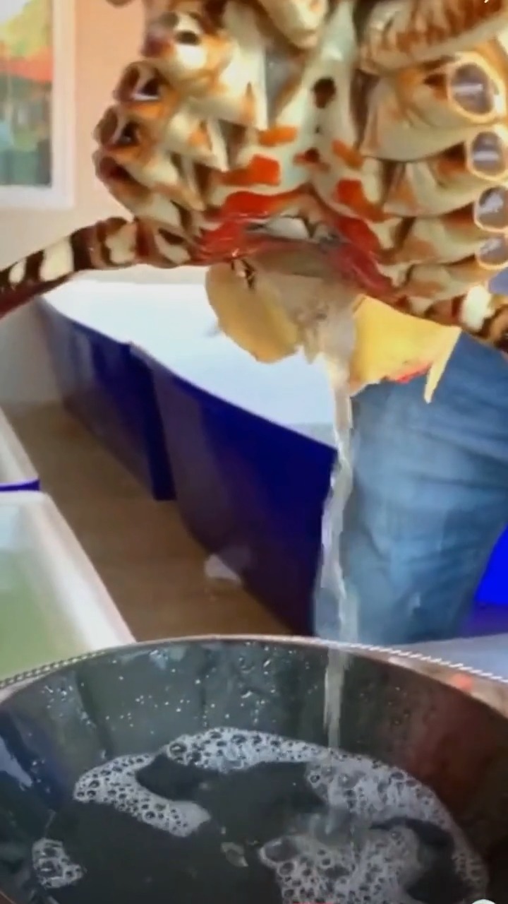 龙虾吃之前还要排尿?幸好男朋友不在,真让人害羞
