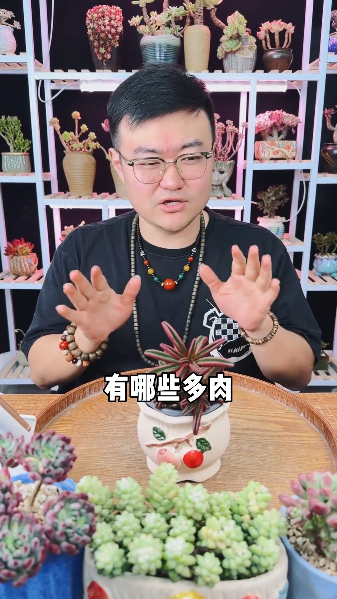 新手好养又便宜的多肉盘点又来了，你还知道哪些呢？评论区交流一下#多肉#多肉植物#