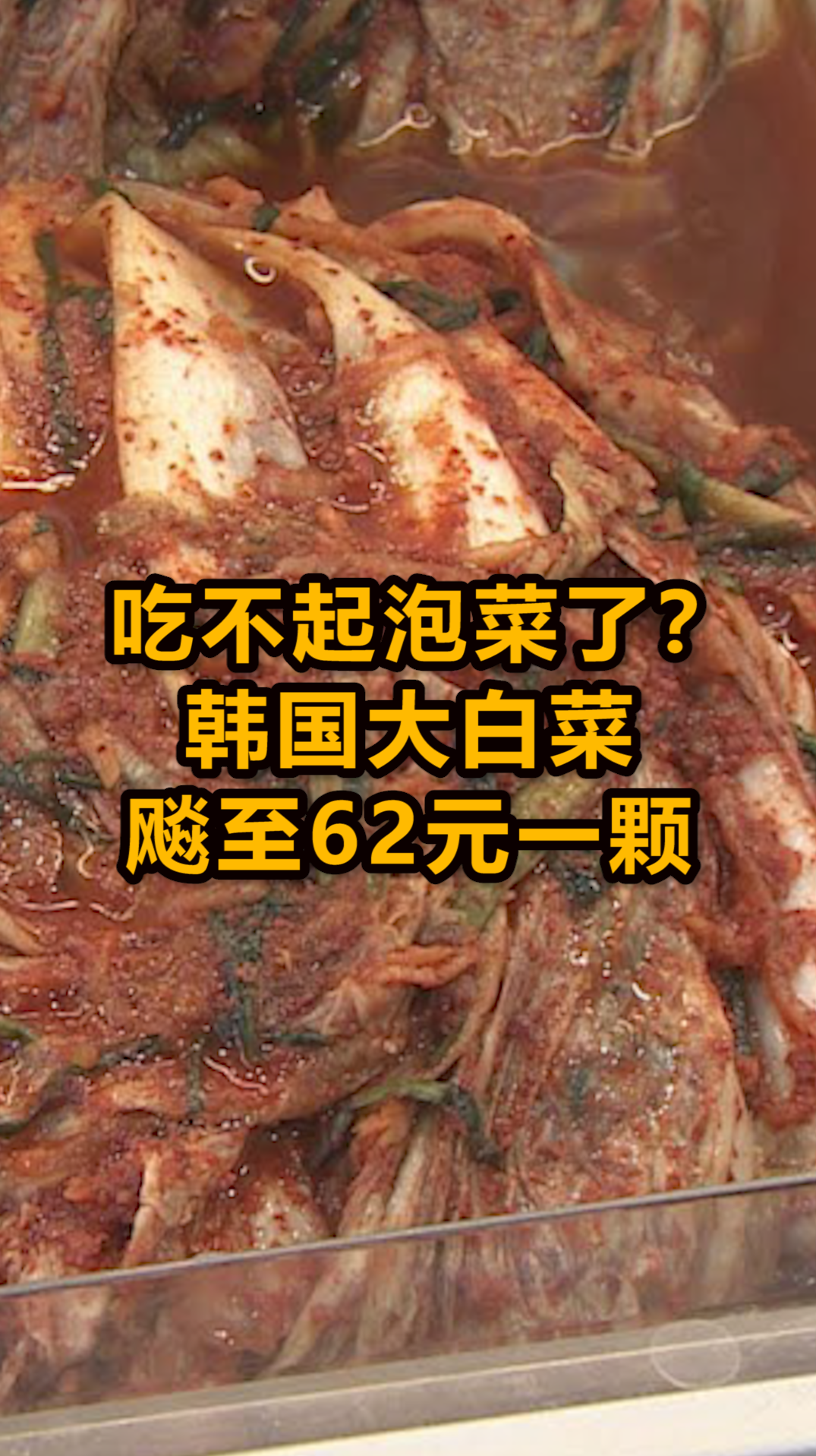 吃不起泡菜了?韩国大白菜飚至62元一颗