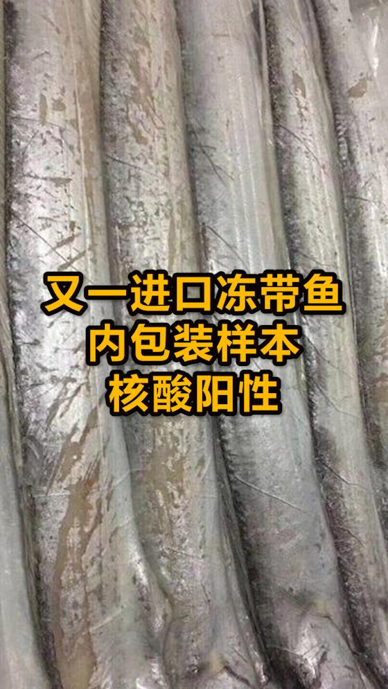 巴西1进口冻带鱼内包装样本核酸阳性,海关总署采取紧急措施