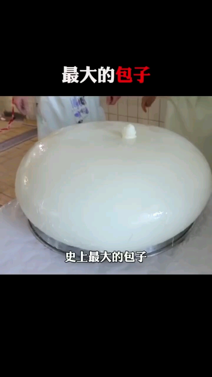 史上最大的包子好吃吗