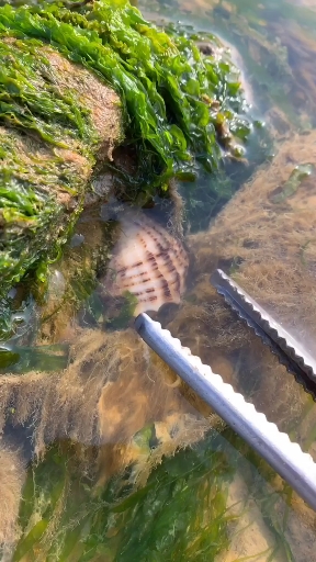 #早春穿搭#唇唇鱼