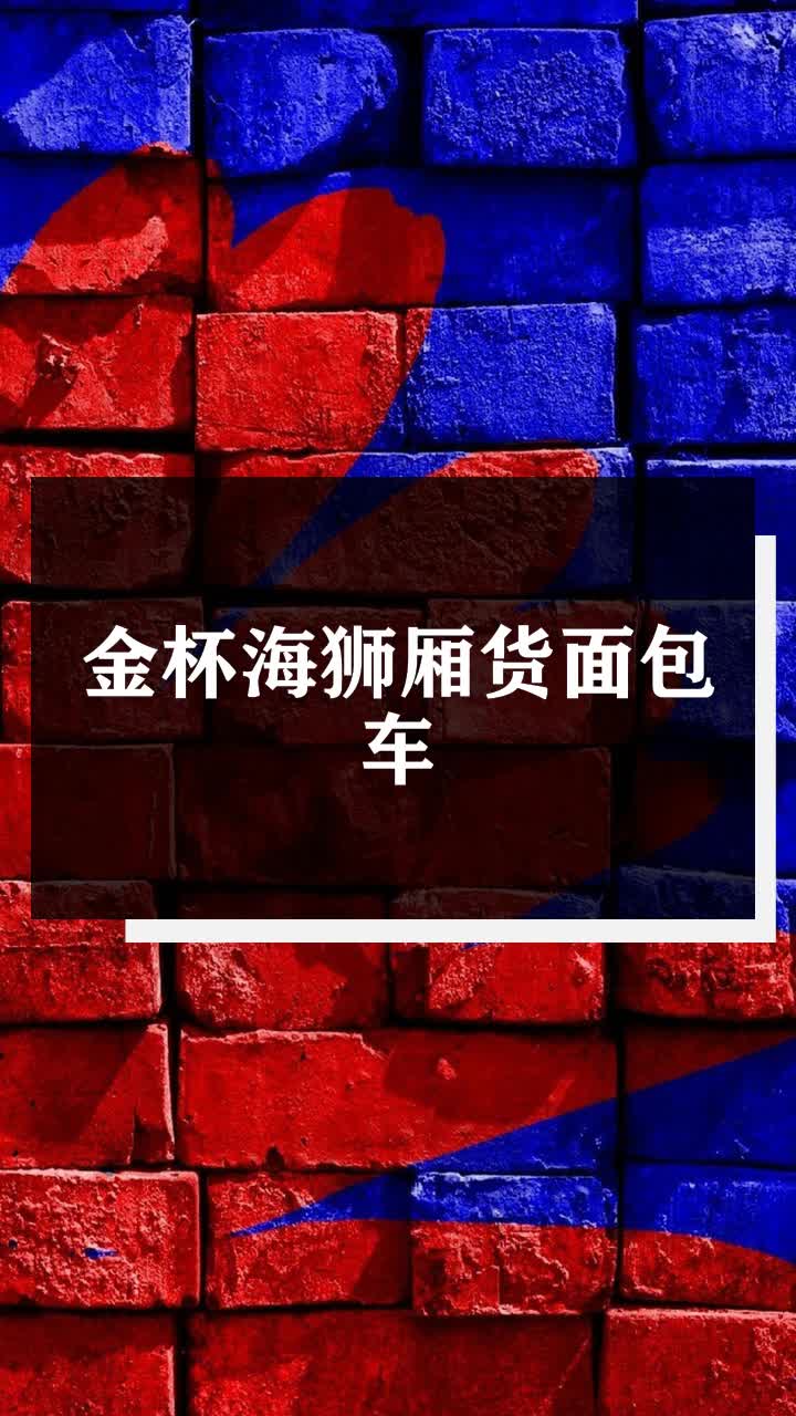 金杯海狮厢货面包车