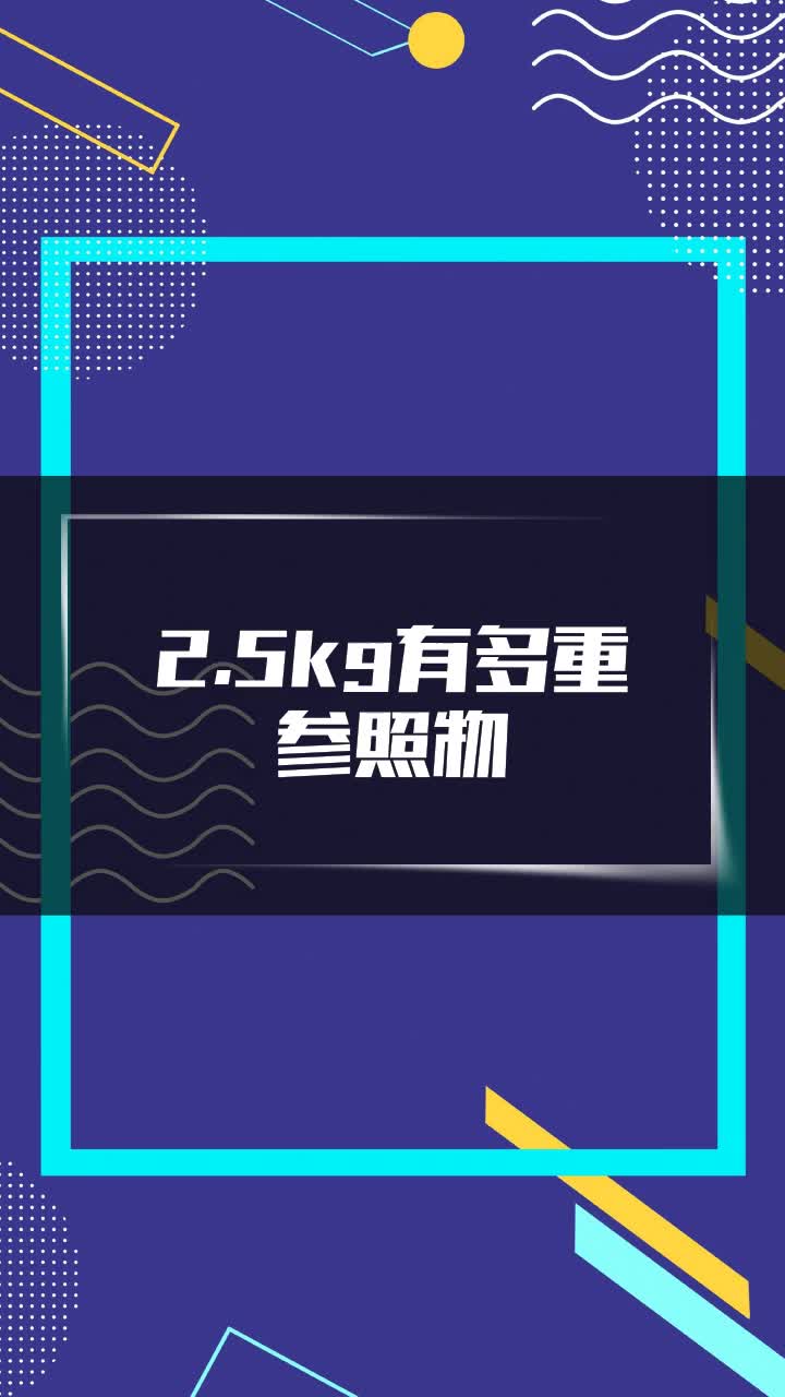 2.5kg有多重参照物
