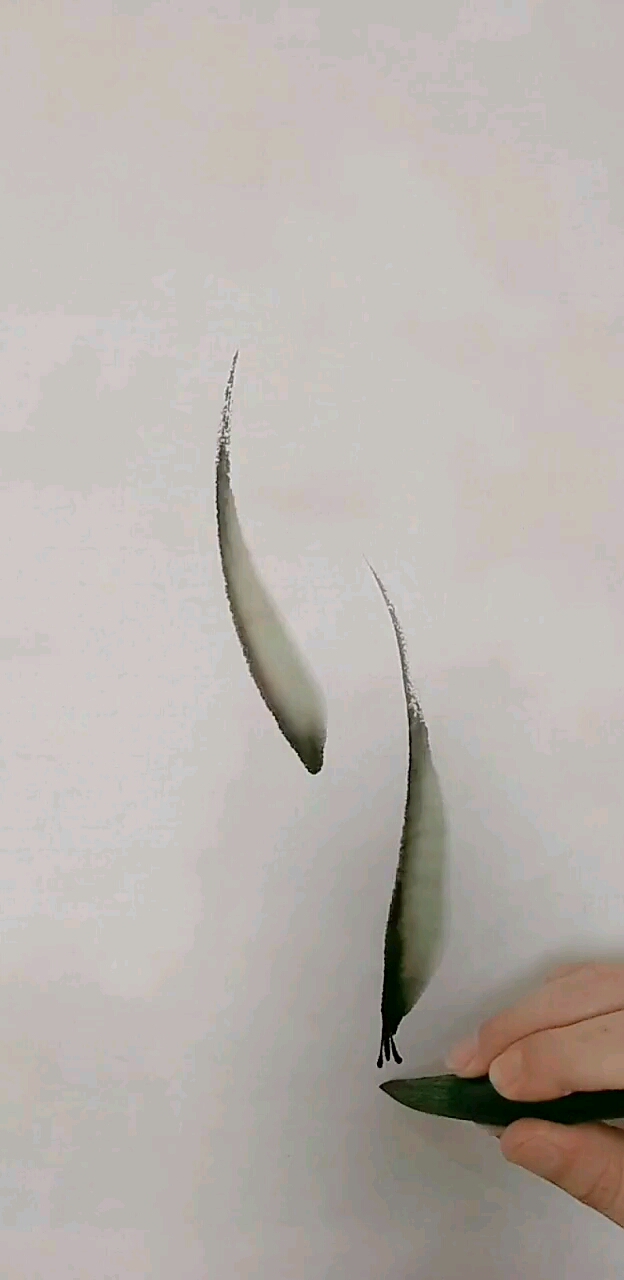 #我要上热门#国画基础白条鱼画法来了