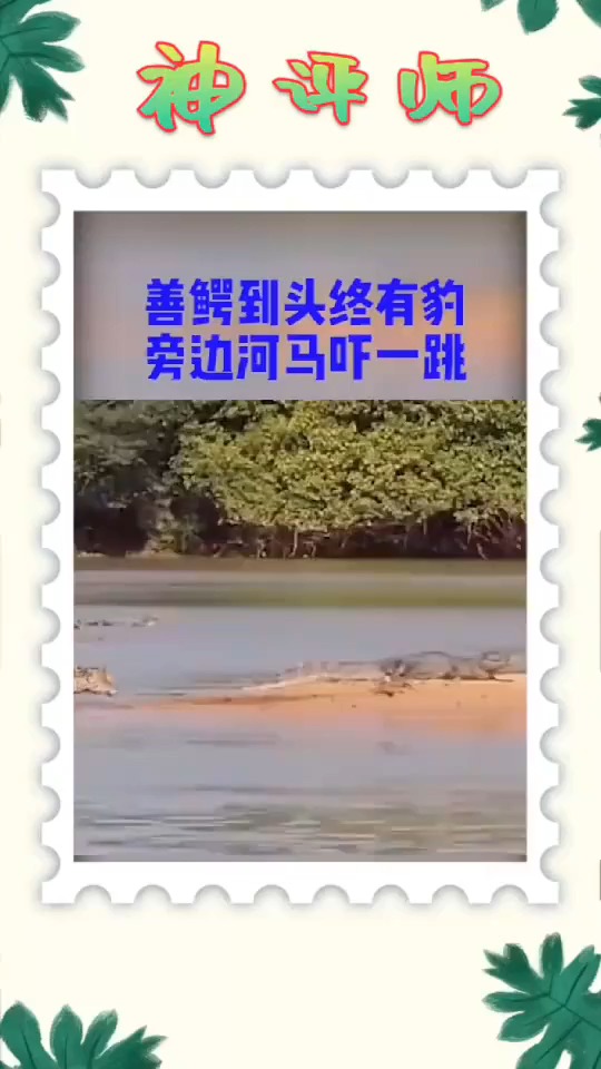 #搞笑视频#豹女秒杀鳄鱼,惊呆了旁边的小可爱