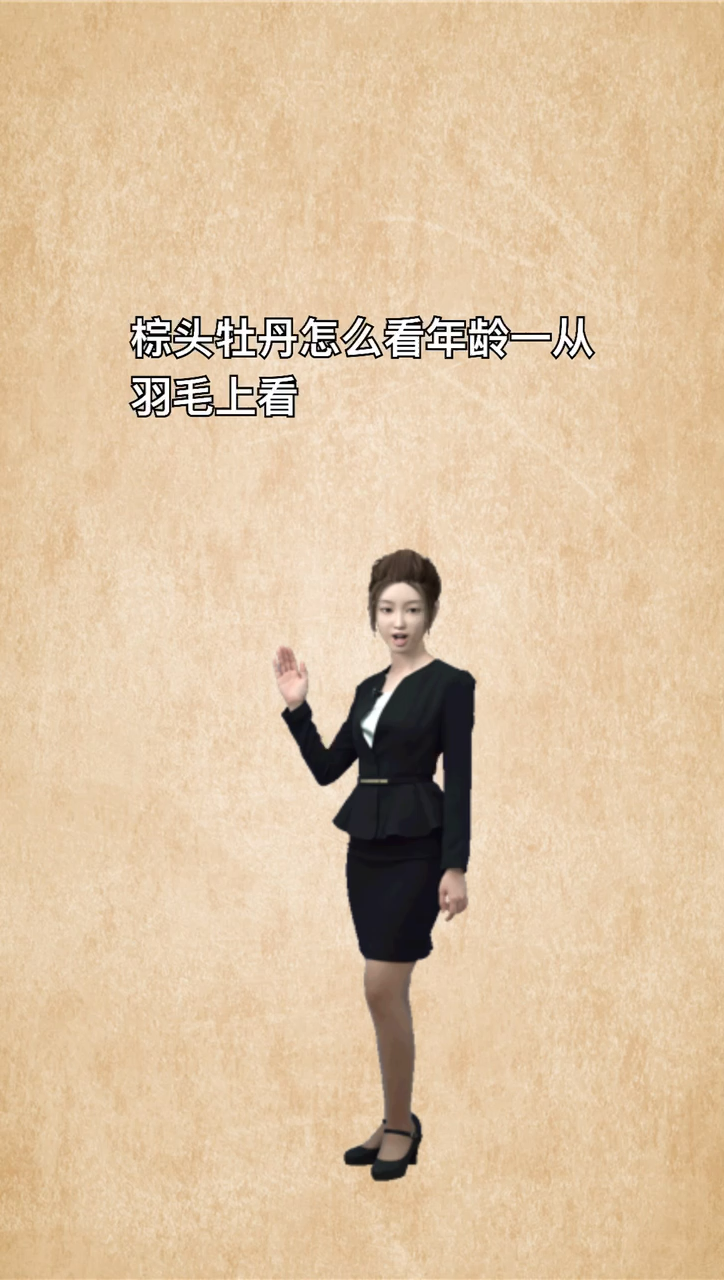 我来告诉你棕头牡丹怎么看年龄