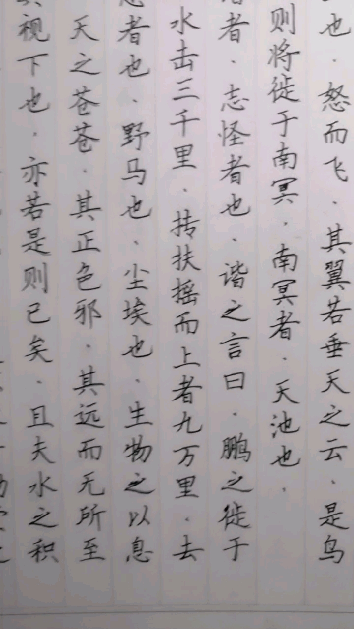 抟扶摇而上者九万里。