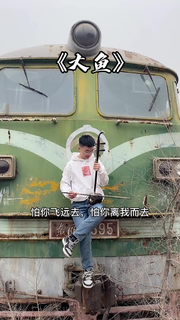 大鱼,二胡完整版