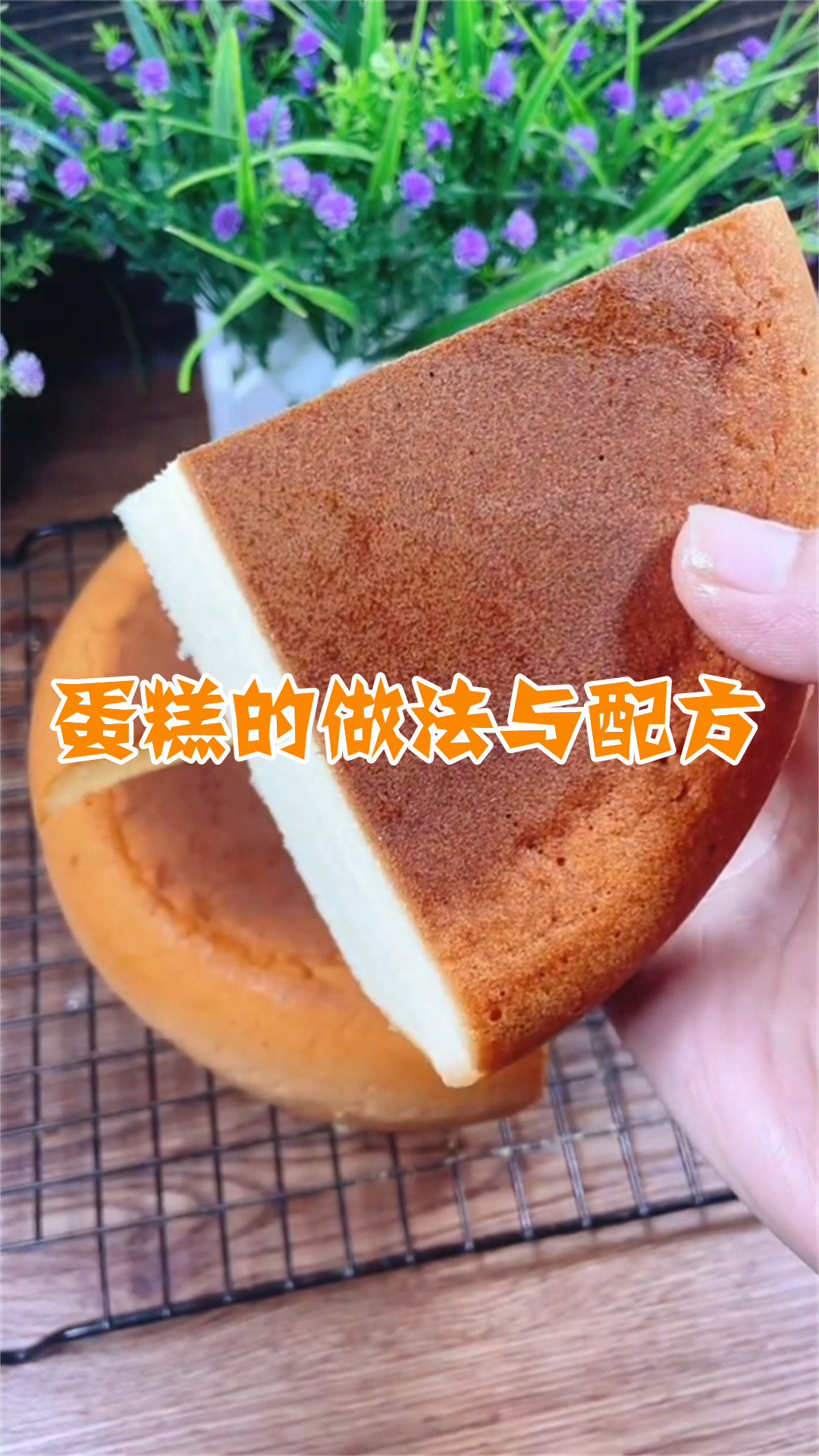 蛋糕的做法与配方