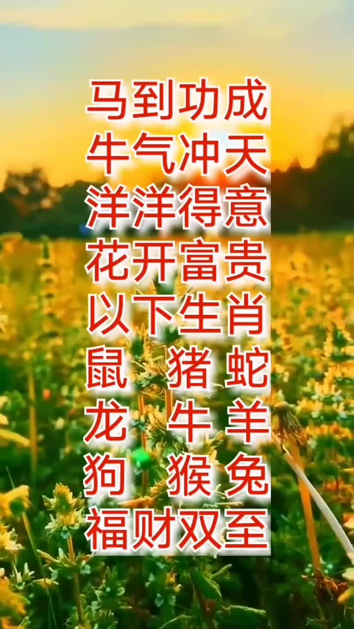 送给亲爱的朋友们,人生感悟,这些话受益匪浅