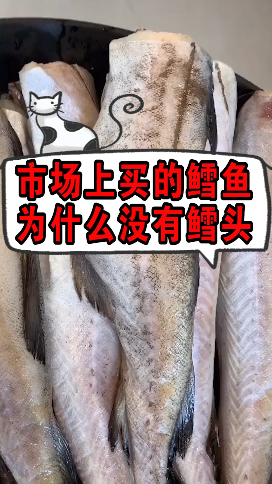 市场买的鳕鱼都是没有鱼头的是为何