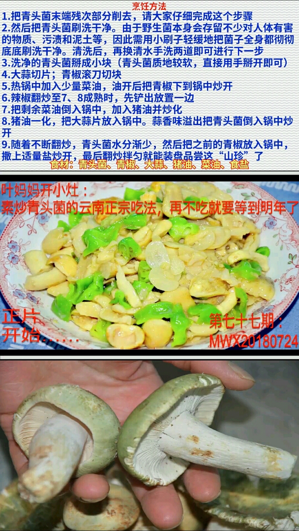 #过年你家吃什么#素炒青头菌貌不惊人,却让云南人吃了上顿想下顿【叶妈妈开小灶第七十七期】