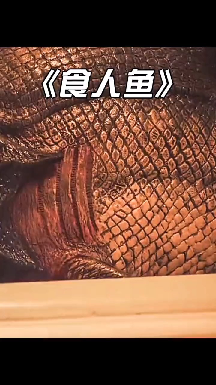食人鱼会吃人吗?(上)