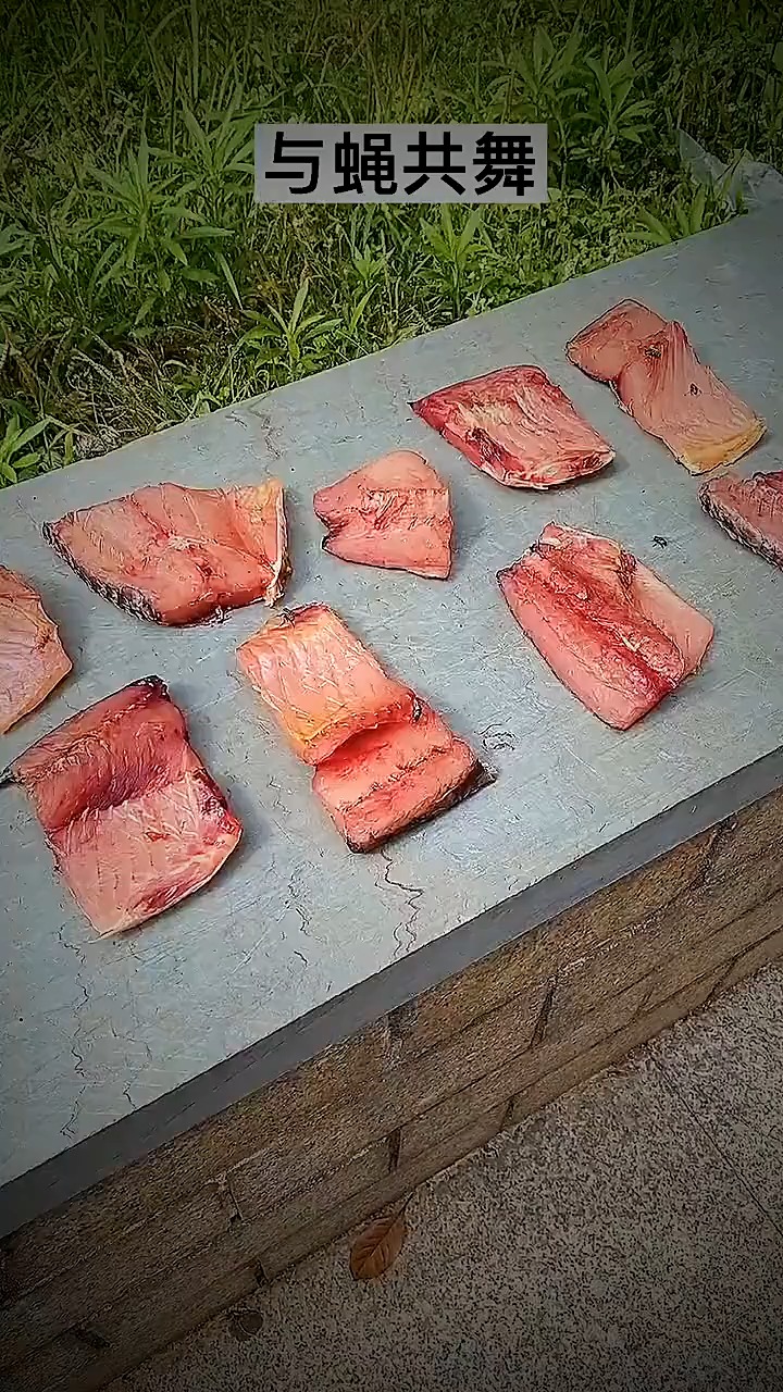 折叠晒鱼网