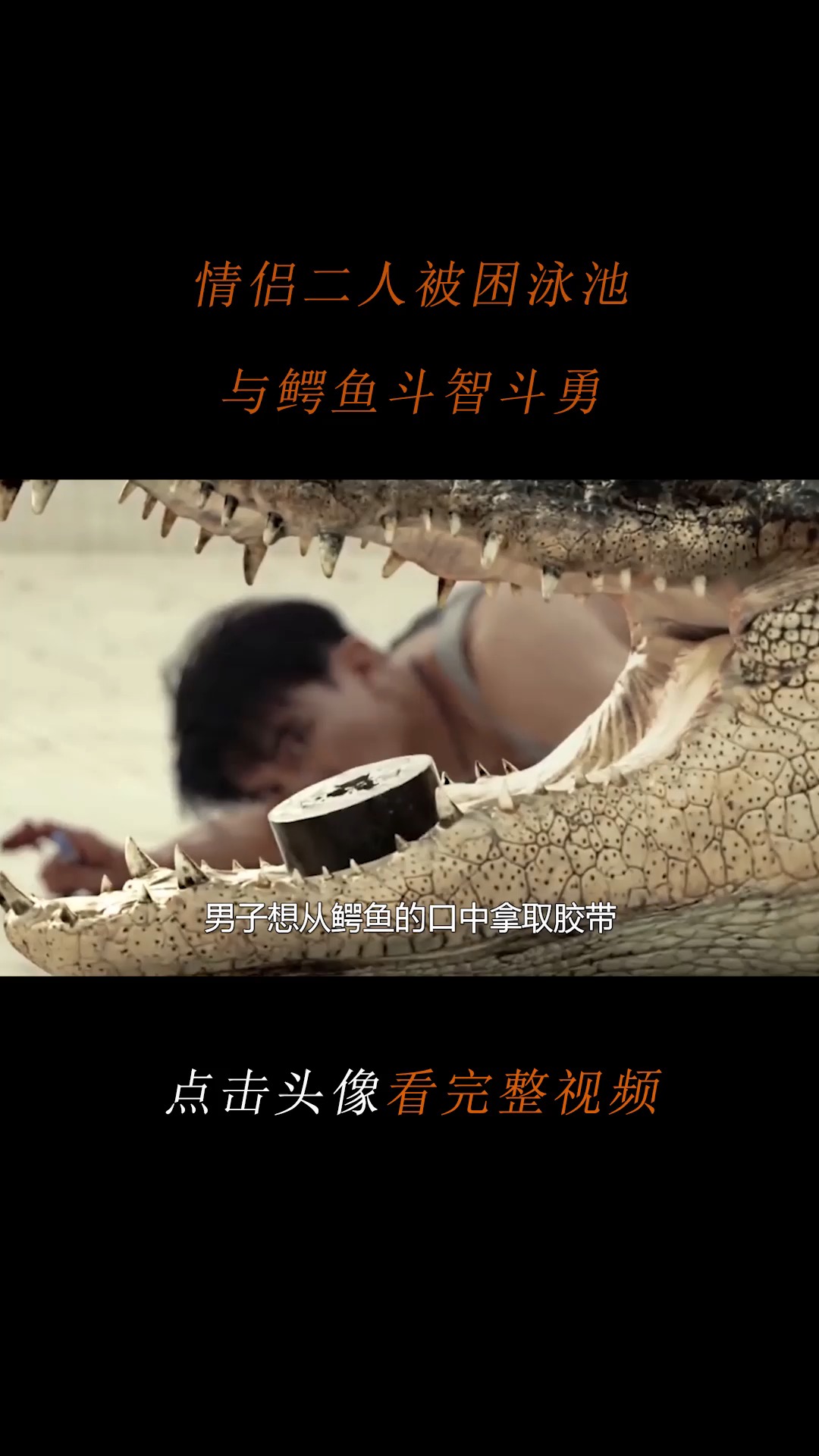 #精彩影视#情侣二人被困泳池,与鳄鱼斗智斗勇