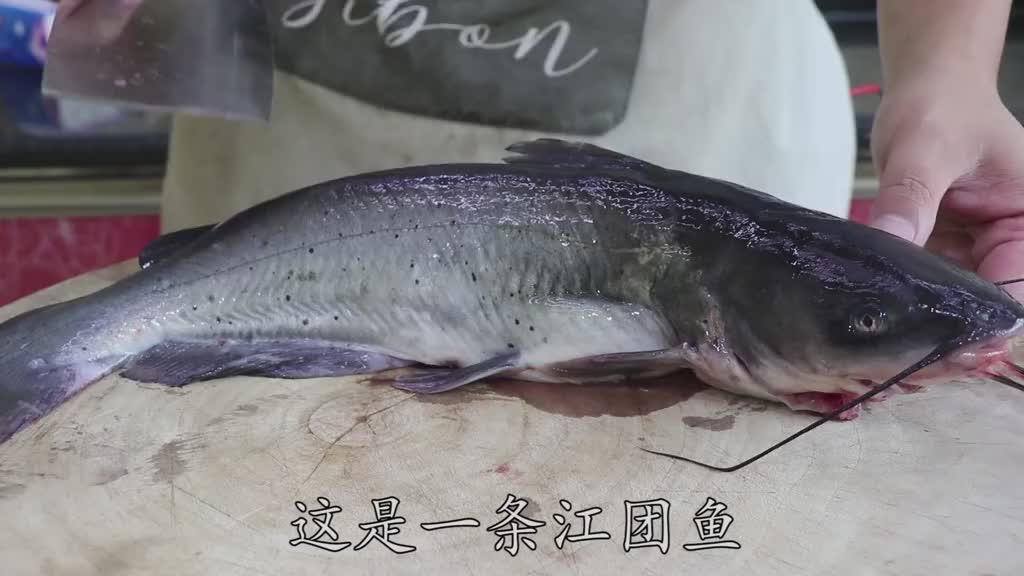 鲶鱼还是这样做好吃,鱼肉鲜嫩细腻没有腥味,做法简单实用接地气美食