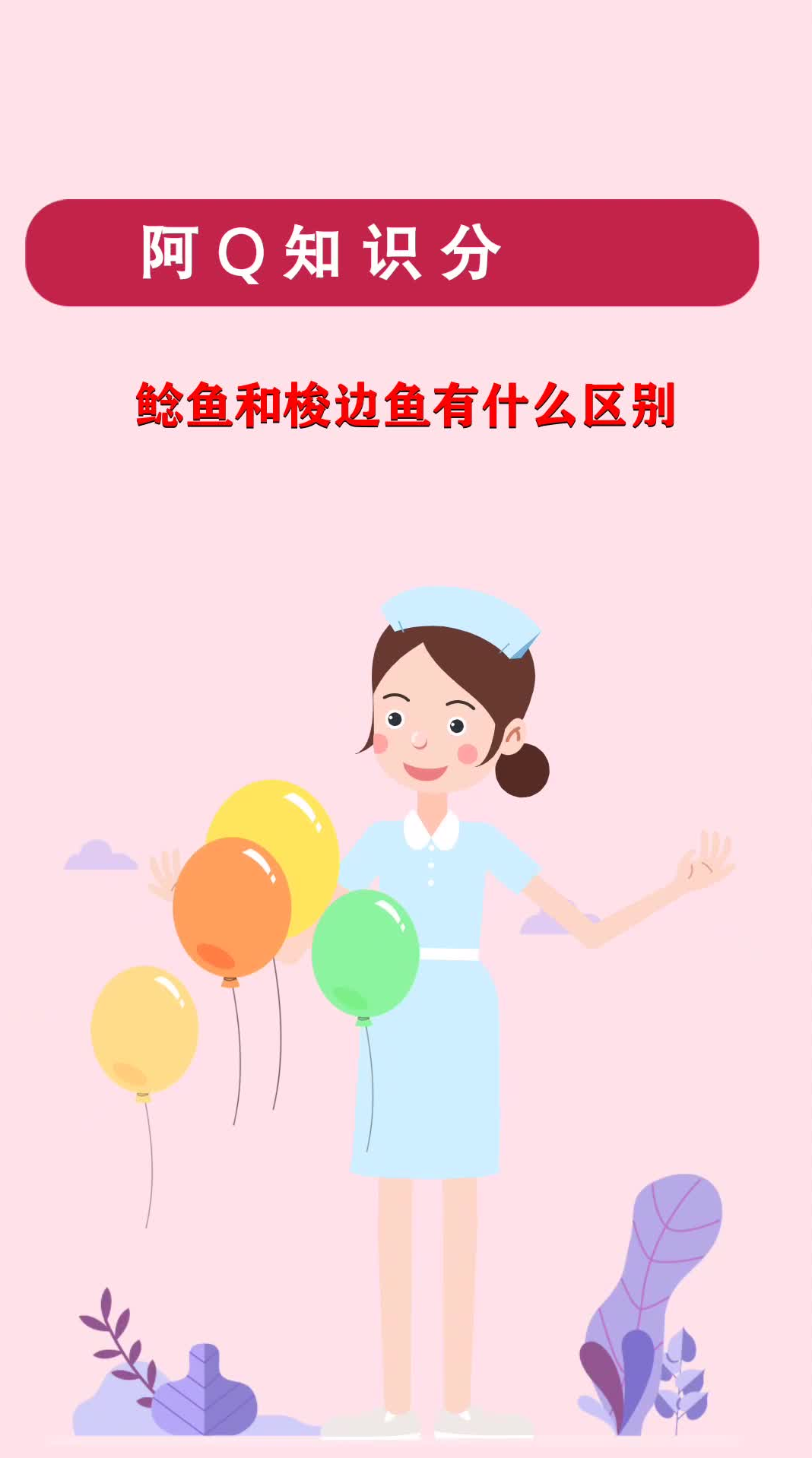 鲶鱼和梭边鱼有什么区别