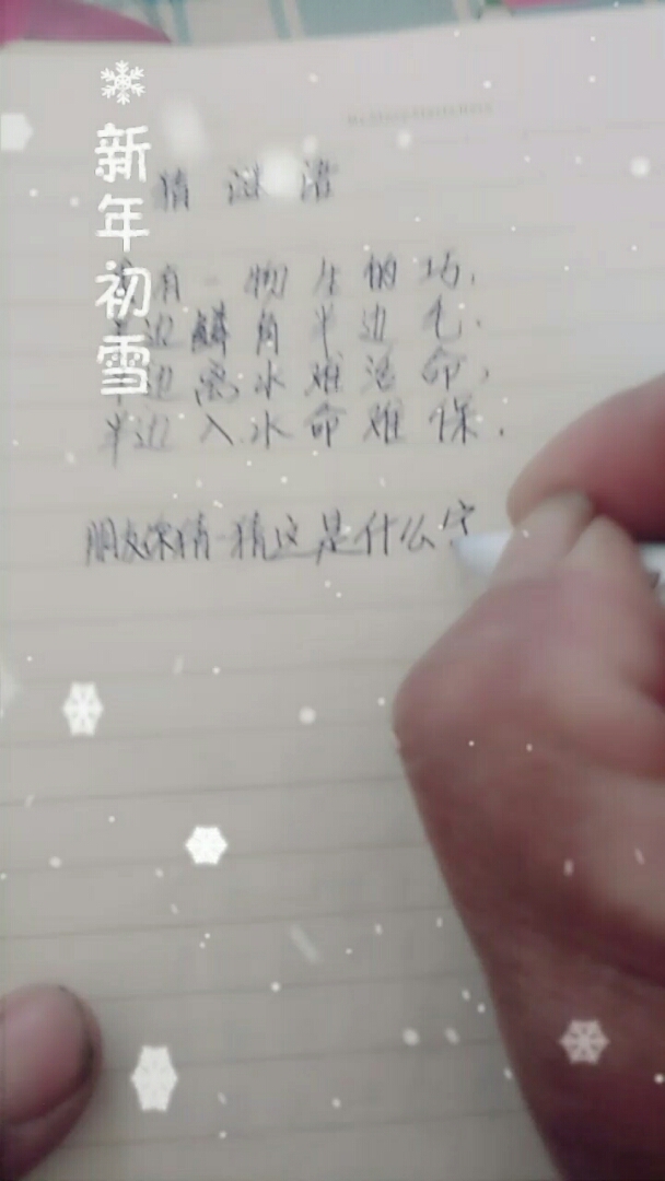 分享视频