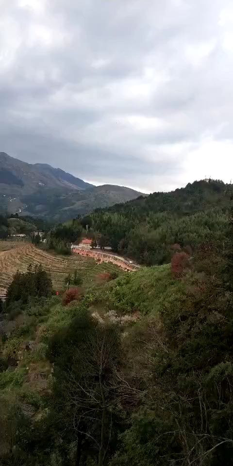 南靖土楼四菜一汤