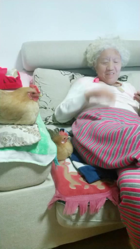 #搞笑段子#两个宝宝幸福的在姥姥身边,陪着姥姥看电视