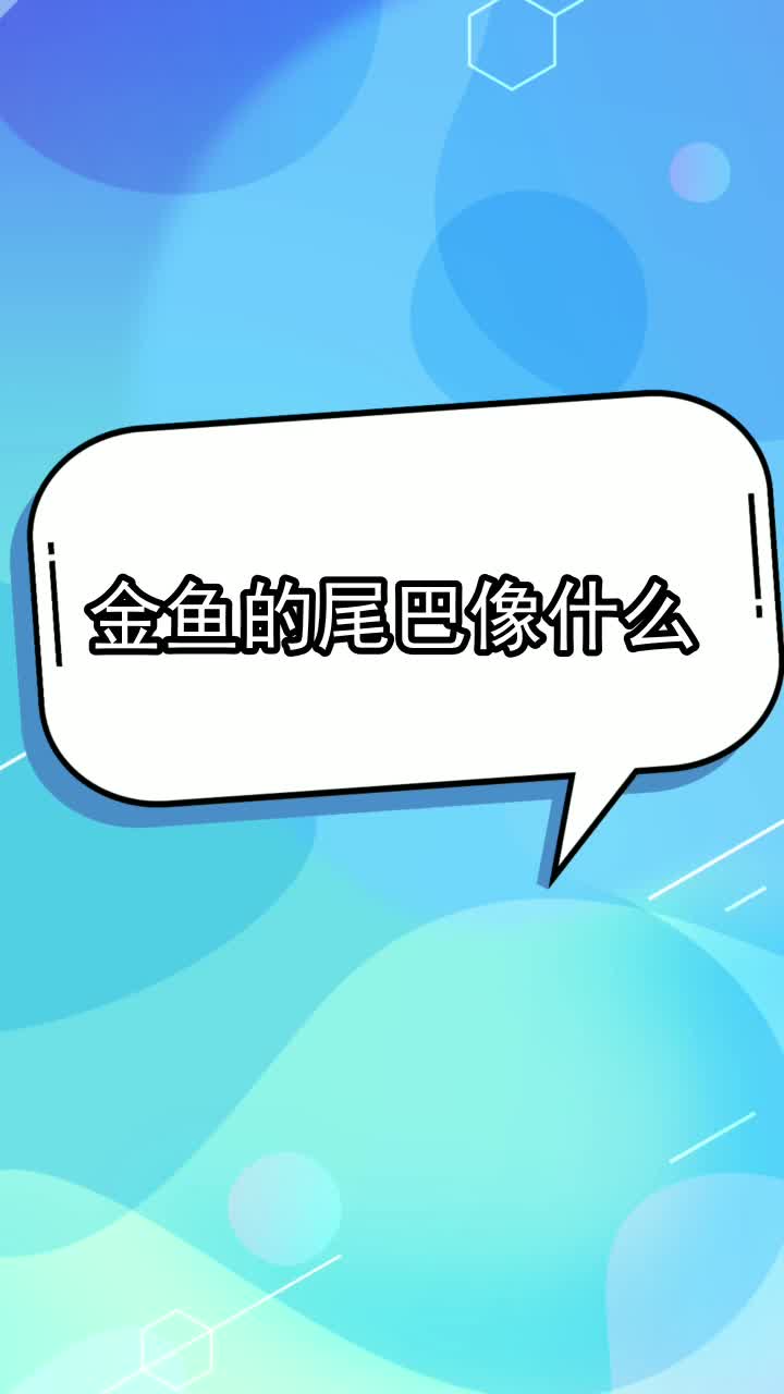 金鱼的尾巴像什么,你明白了吗