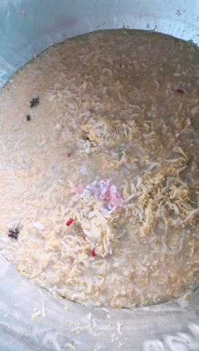 #舌尖上的乡村美食#酸菜羊肉,看这羊肉,多不多,