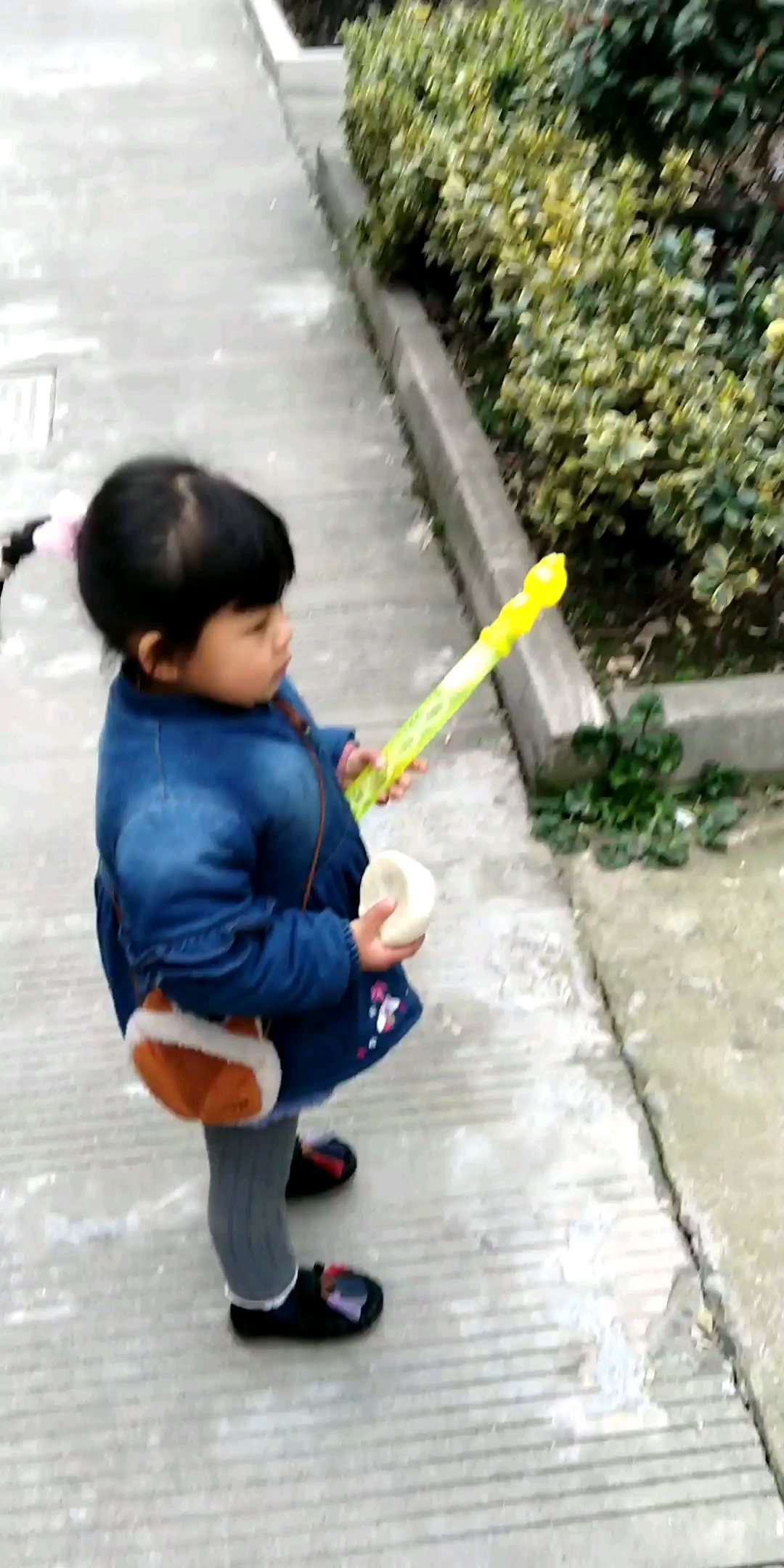 大宝一个包子扔给哈士奇,吃的很嗨