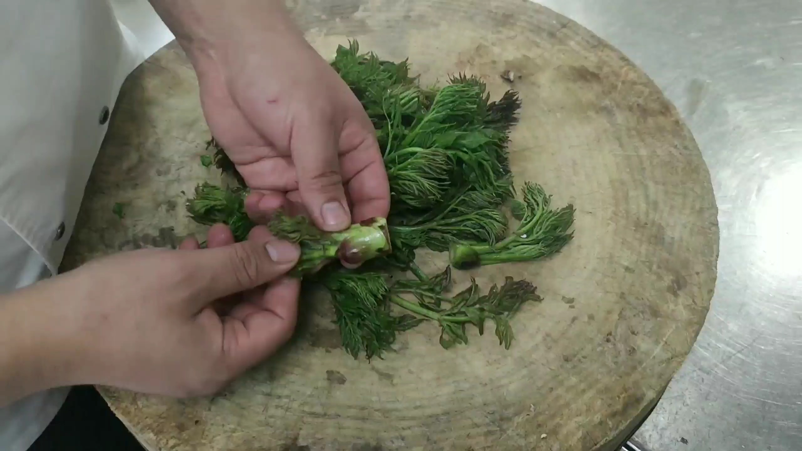 #山野菜刺嫩芽#土豪老板自带东北最贵野菜刺嫩芽，让厨师试做一盘，吃完都夸好吃