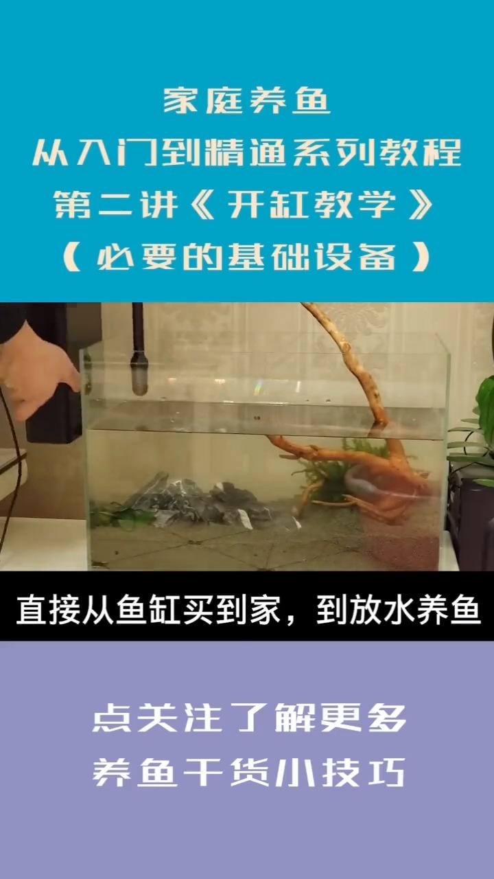 之后的教程介绍加热器和过滤器,之后介绍具体养水开缸步骤,接着是新鱼买到家怎样放到
