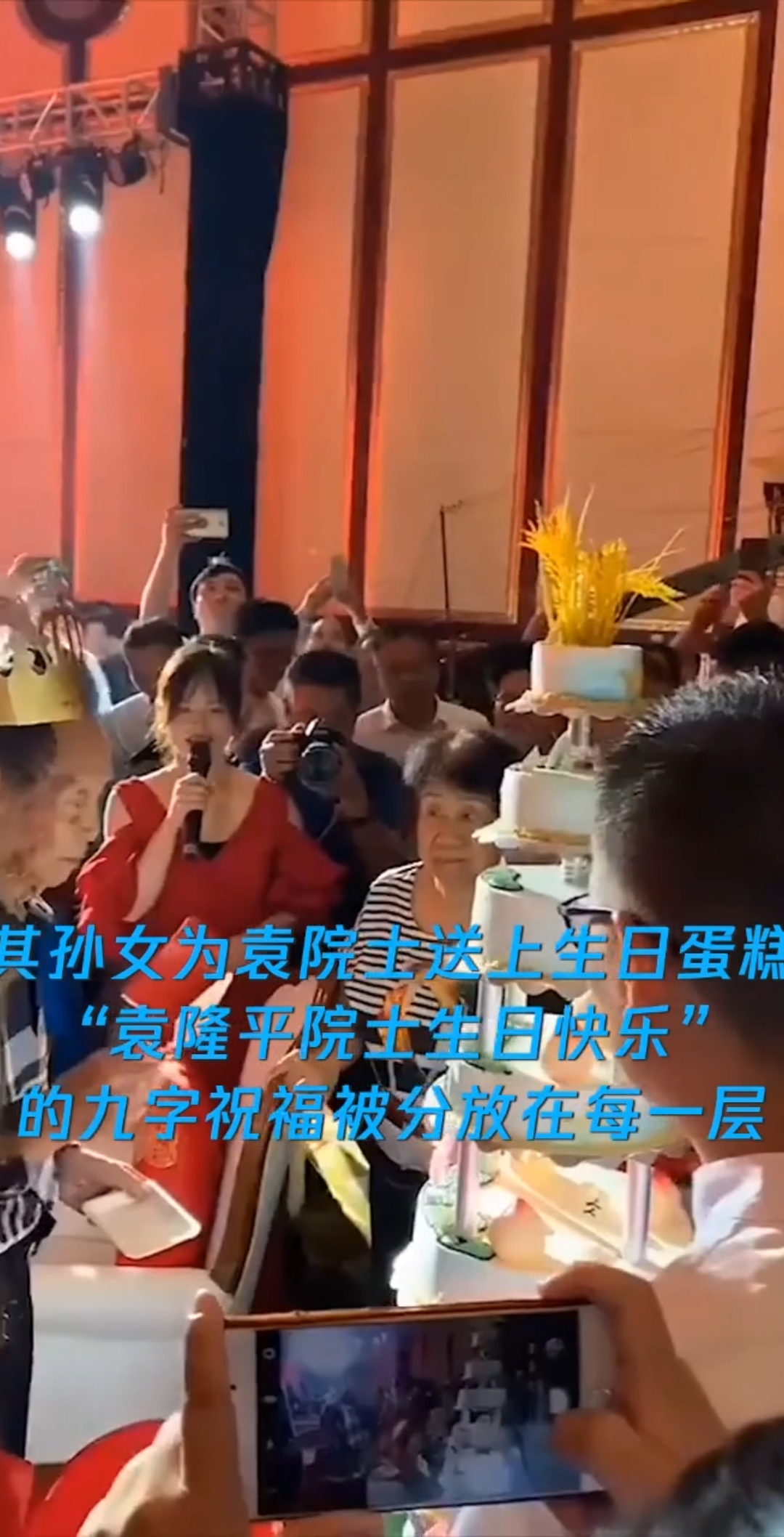  工程院院士袁隆平90大寿:9层生日蛋糕上植水稻