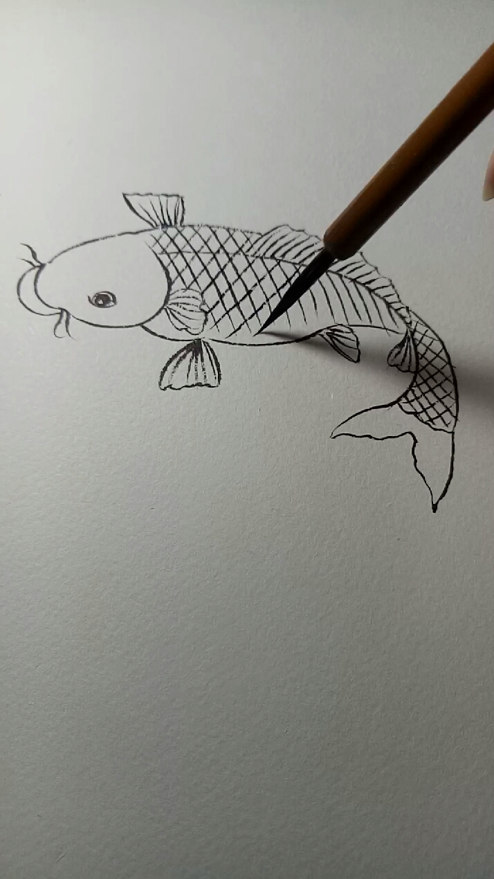 #寻找最牛手艺人#白描鱼画法,超简单易画。