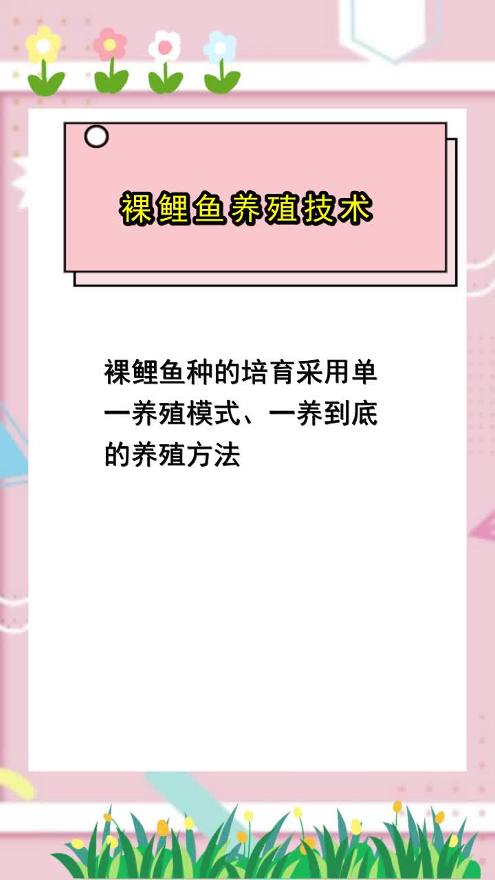 裸鲤鱼养殖技术,你领会了吗