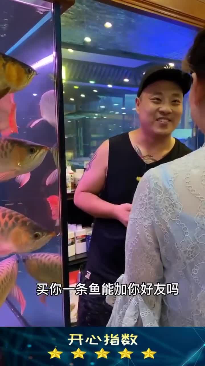 开始越豪横,结束越丢脸